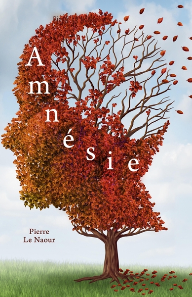 Picture of Amnésie