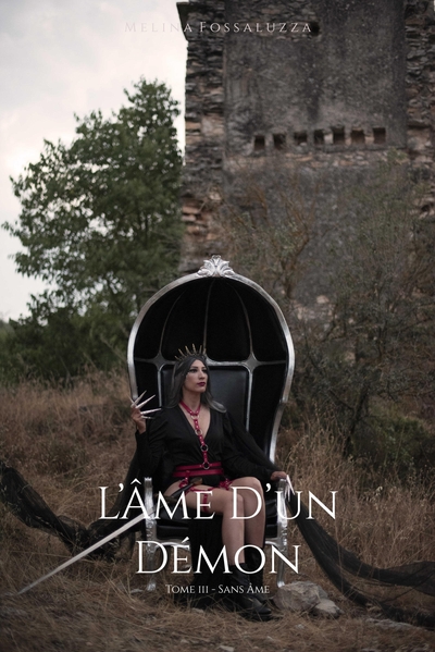 Image de L'Âme d'un démon - Tome III