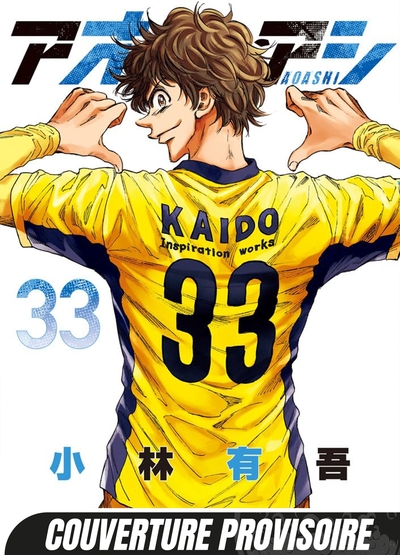 Image de AO ASHI T33