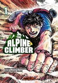 Picture of The Alpine Climber T01