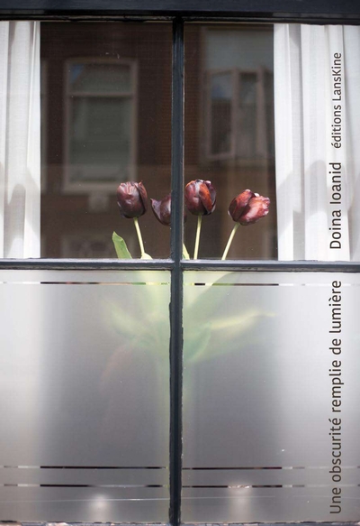 Picture of Une obscurité remplie de lumière