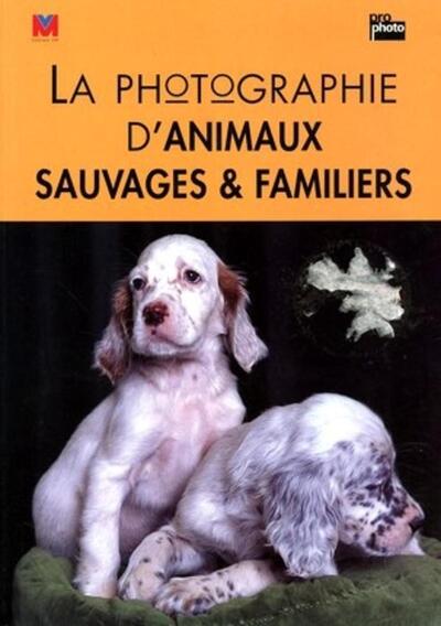 Image de La photographie d'animaux sauvages et familiers