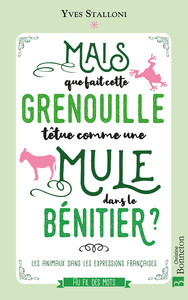 Image de Mais que fait cette grenouille têtue comme une mule dans le bénitier  ?