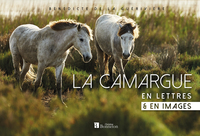 Picture of La Camargue