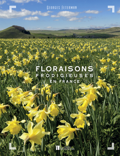 Picture of Floraisons prodigieuses en France