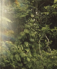 Image de Are We There