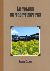Picture of Le voleur de trottinettes