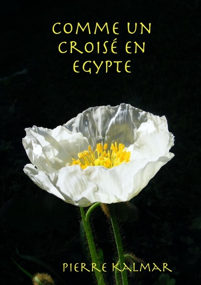 Picture of Comme un croisé en Egypte