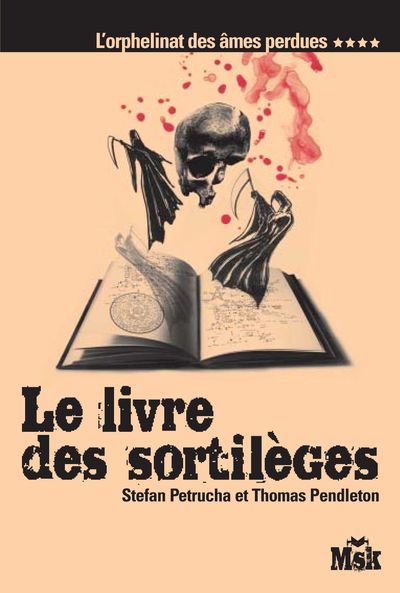 Image de LE LIVRE DES SORTILEGES