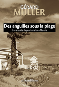 Image de Des anguilles sous la plage