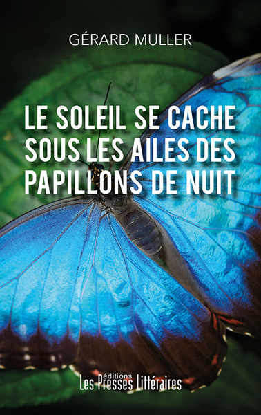 Picture of Le soleil se cache sous les ailes des papillons de nuit