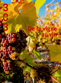 Image de De la vigne au vin