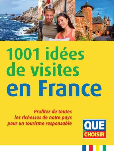 Picture of 1001 idées de visites en France