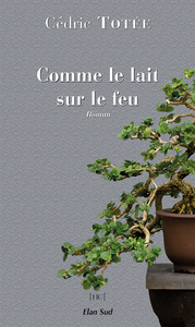 Image de Comme le lait sur le feu