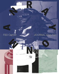 Picture of Journal singulier