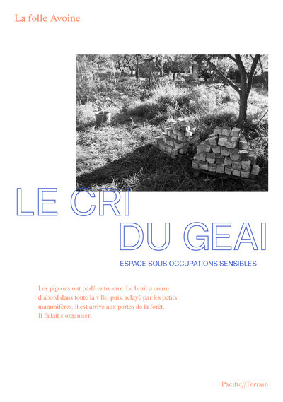 Image de Le cri du geai
