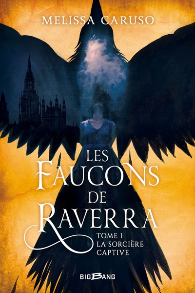 Picture of Les Faucons de Raverra, T1 : La Sorcière captive