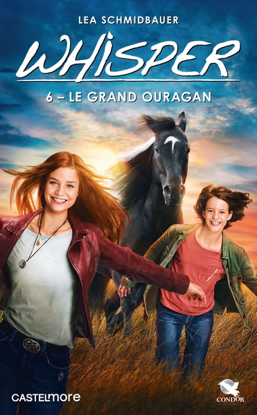Image de Whisper, T6 : Le Grand Ouragan