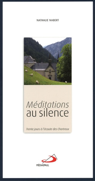 Picture of MEDITATIONS AU SILENCE