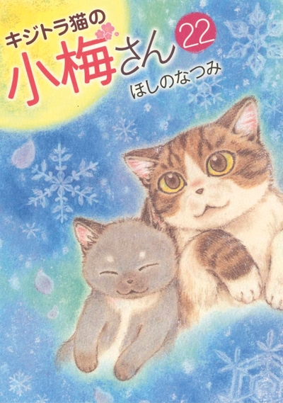 Image de Plum, un amour de chat T22