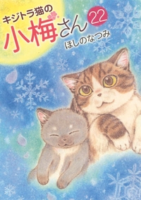 Image de Plum, un amour de chat T22