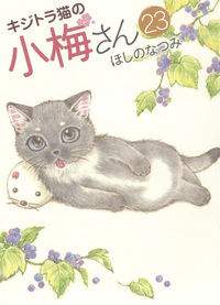 Image de Plum, un amour de chat T23