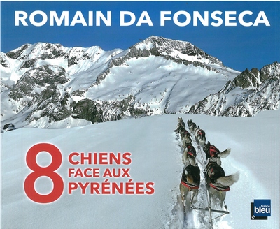 Picture of 8 chiens face aux Pyrénées