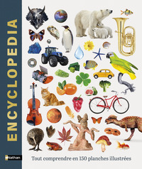 Image de Encyclopedia - Tout comprendre en 150 planches illustrées