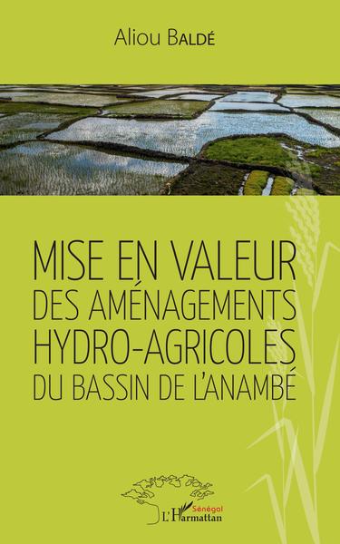Picture of Mise en valeur des aménagements hydro-agricoles du bassin de l'Anambé