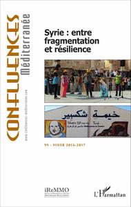 Picture of Syrie : entre fragmentation et résilience