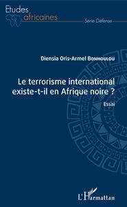 Image de Le terrorisme international existe-t-il en Afrique noire ?