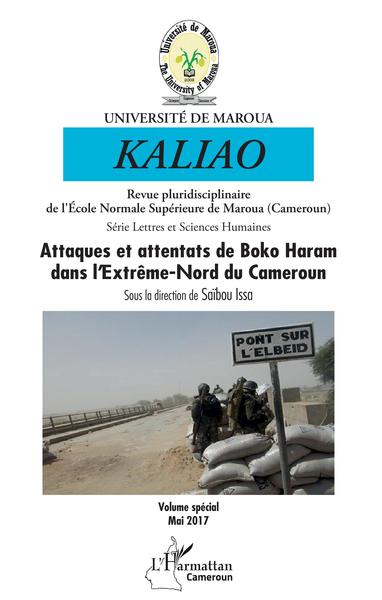 Picture of Attaques et attentats de Boko Haram dans l'Extrême-Nord du Cameroun
