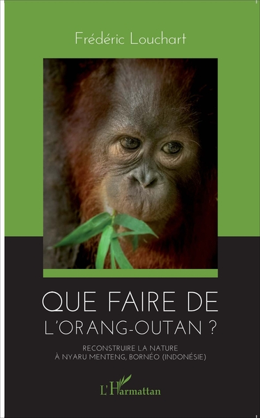 Image de Que faire de l'orang-outan ?