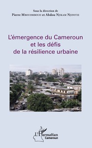 Image de L'émergence du Cameroun et les défis de la résilience urbaine