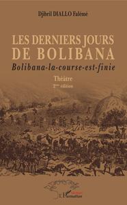 Image de Les derniers jours de Bolibana