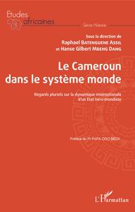 Image de Le Cameroun dans le système monde