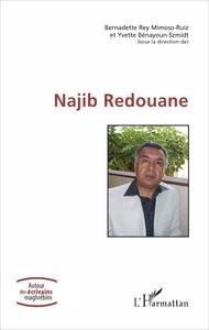 Picture of Najib Redouane