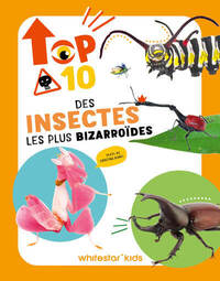 Picture of Top 10 des insectes les plus bizarroïdes
