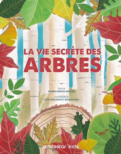 Picture of La vie secrète des arbres