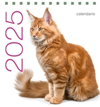 Picture of Calendrier de table 2025 Chats