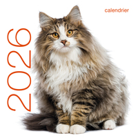 Image de Calendrier mural 2026 - Chats
