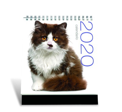 Image de Calendrier de table 2020 - Chats