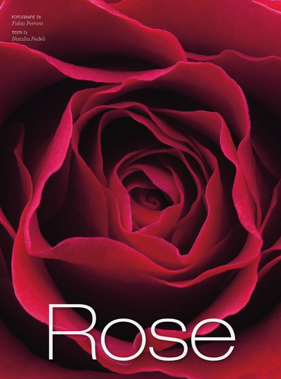 Picture of Roses