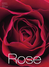 Picture of Roses