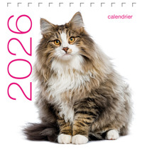 Picture of Calendrier de table 2026 - Chats