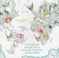 Picture of Un fantastique voyage le long des routes migratoires des hirondelles
