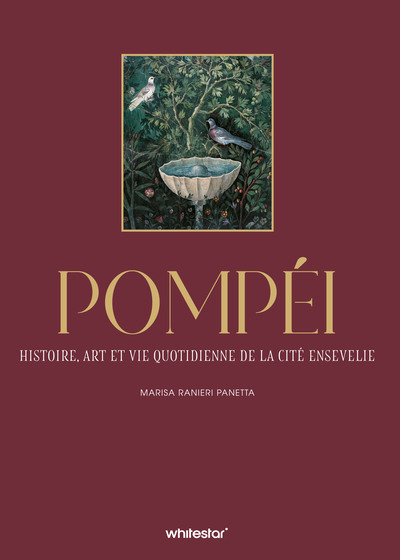 Image de Pompéi - Histoire, art et vie quotidienne de la cité ensevelie