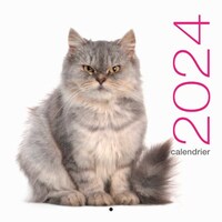 Picture of Calendrier mural 2024 Chats