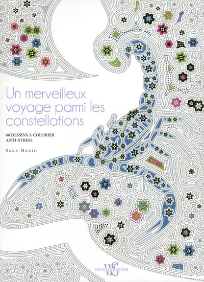 Picture of Un merveilleux voyage parmi les constellations