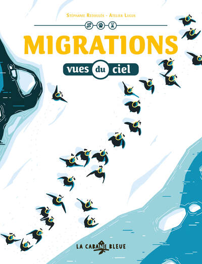 Image de Migrations vues du ciel